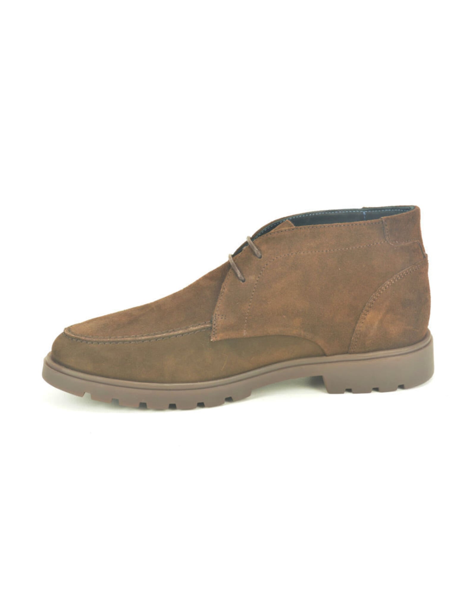 Berkelmans 16265 bruin