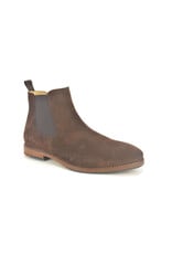 Berkelmans 16266 bruin