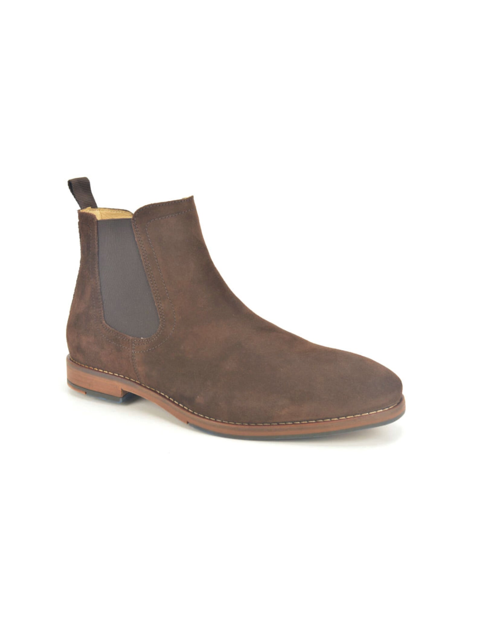 Berkelmans 16266 bruin