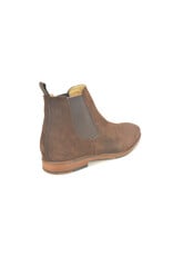 Berkelmans 16266 bruin