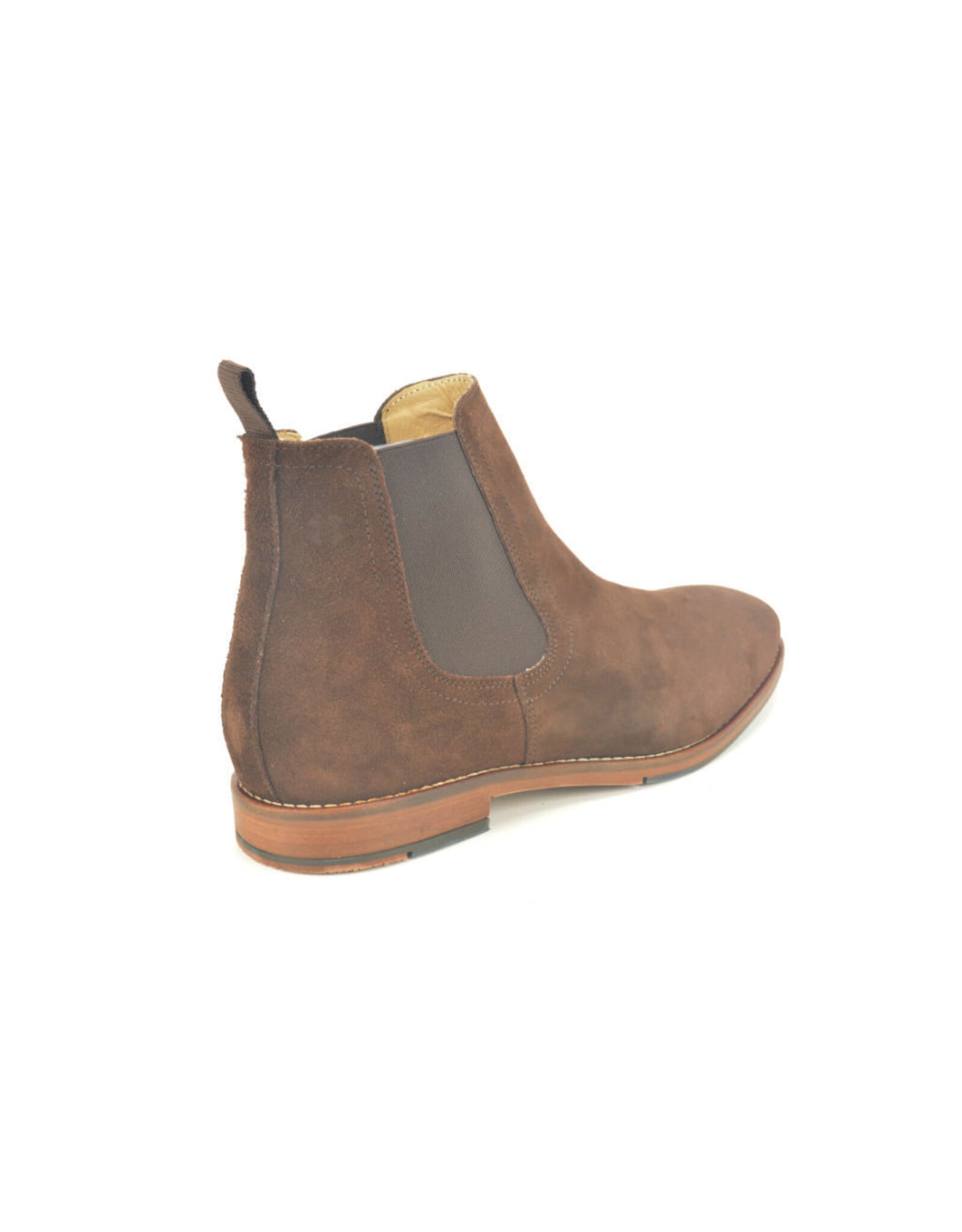 Berkelmans 16266 bruin