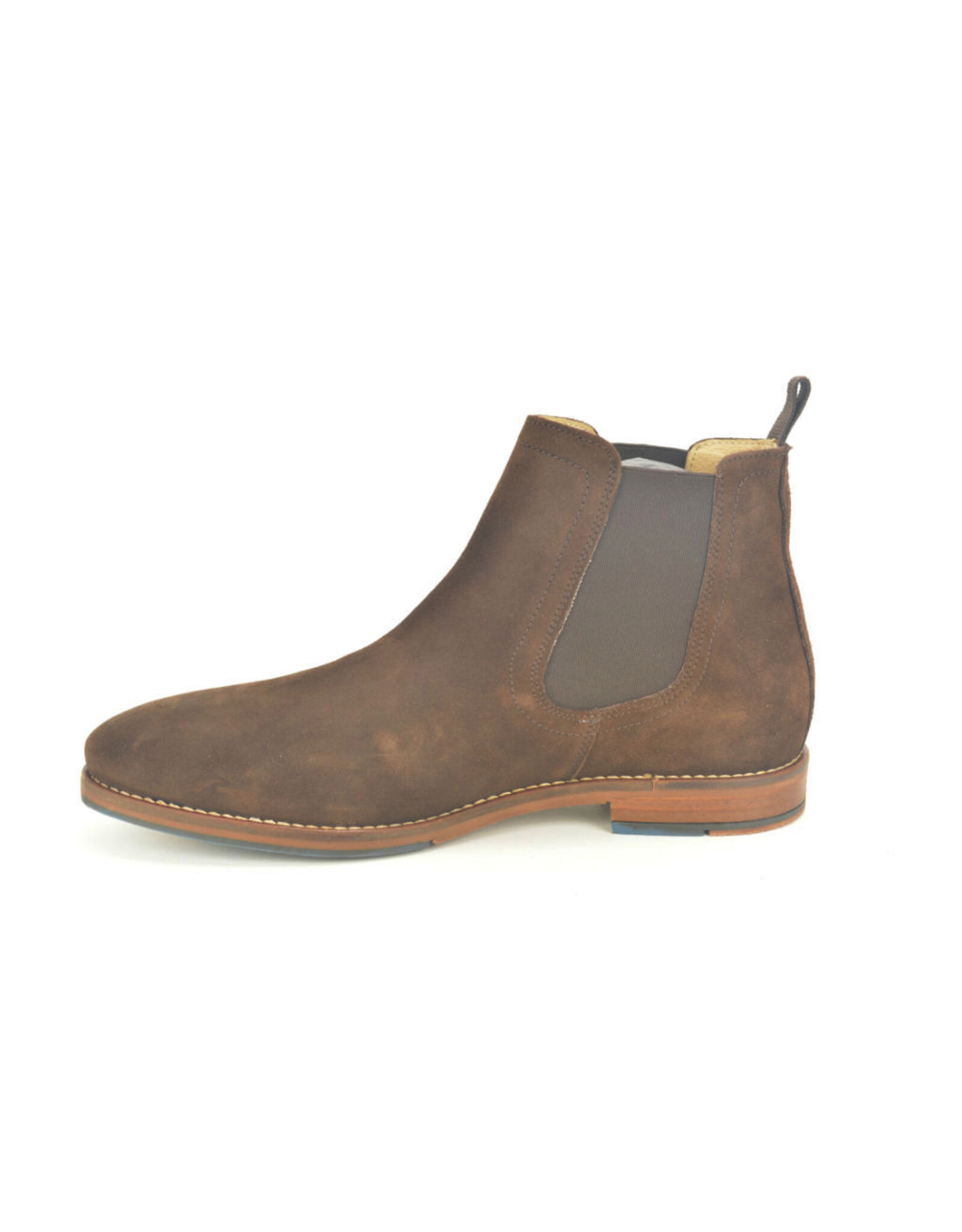 Berkelmans 16266 bruin