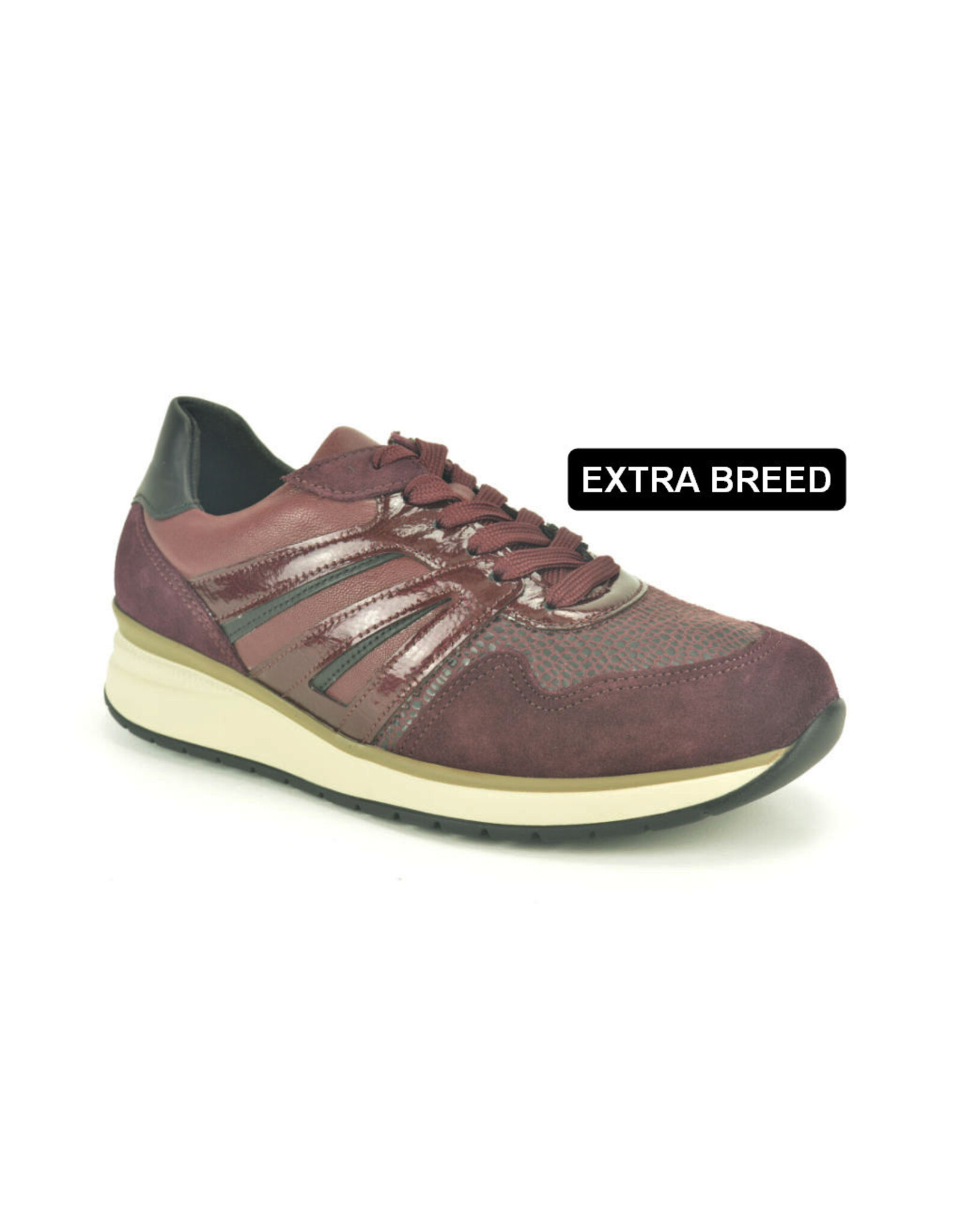 Gabor 16199 kleur