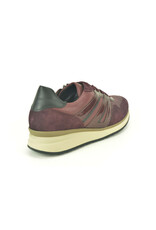 Gabor 16199 kleur