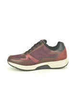 Gabor 16201 kleur