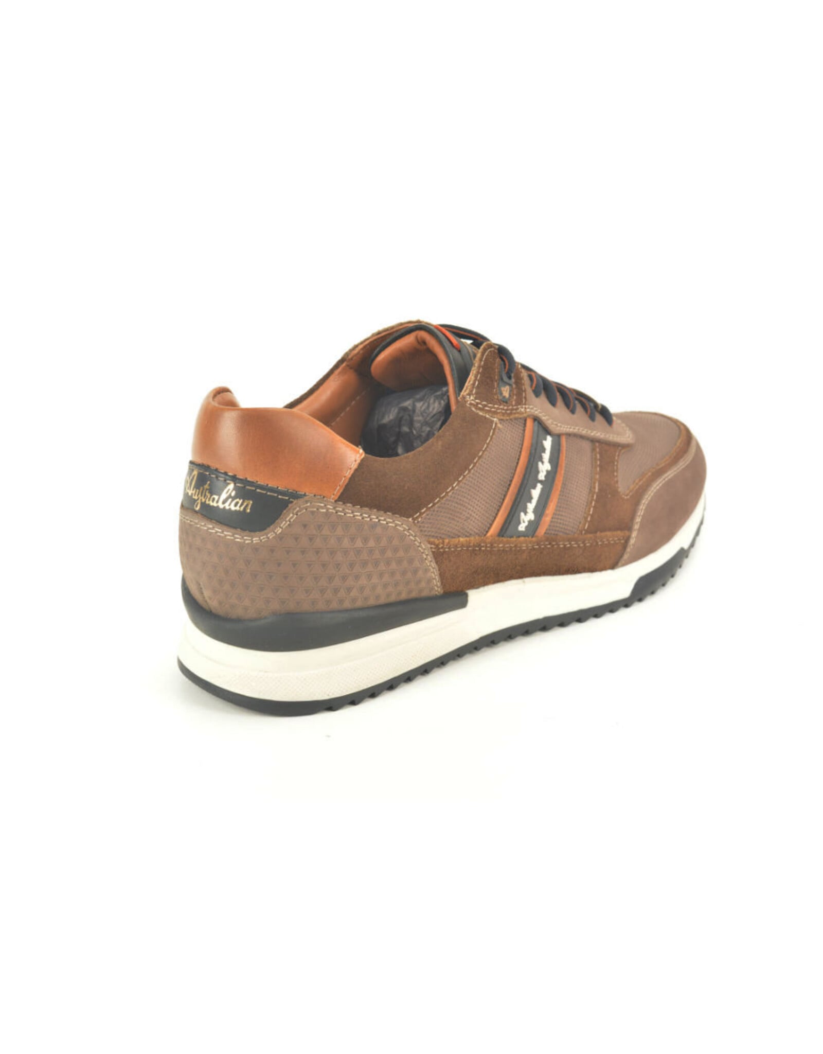 Australian 16249 bruin