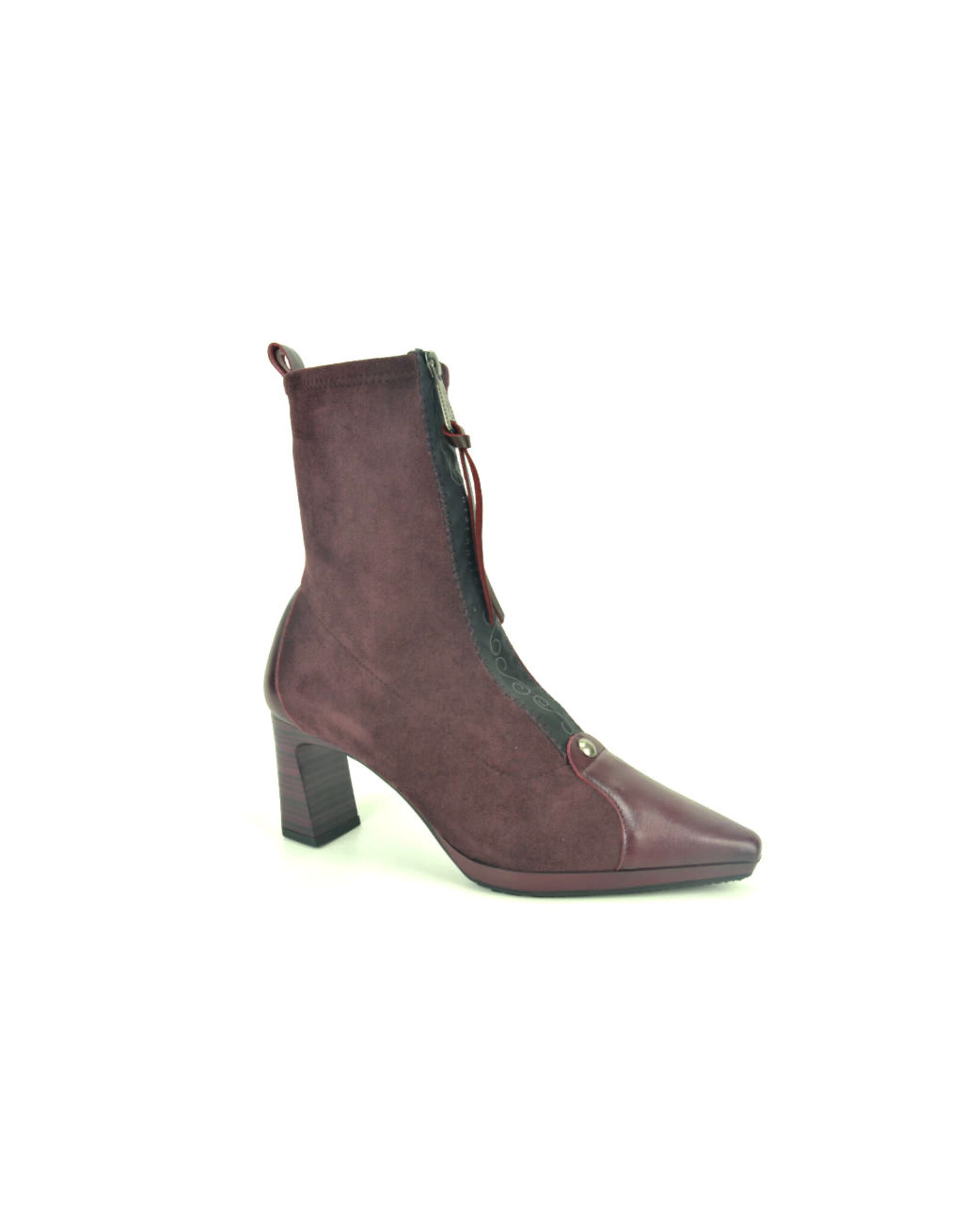 Hispanitas 16315 kleur