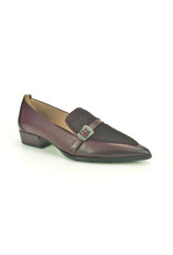 Hispanitas 16319 kleur