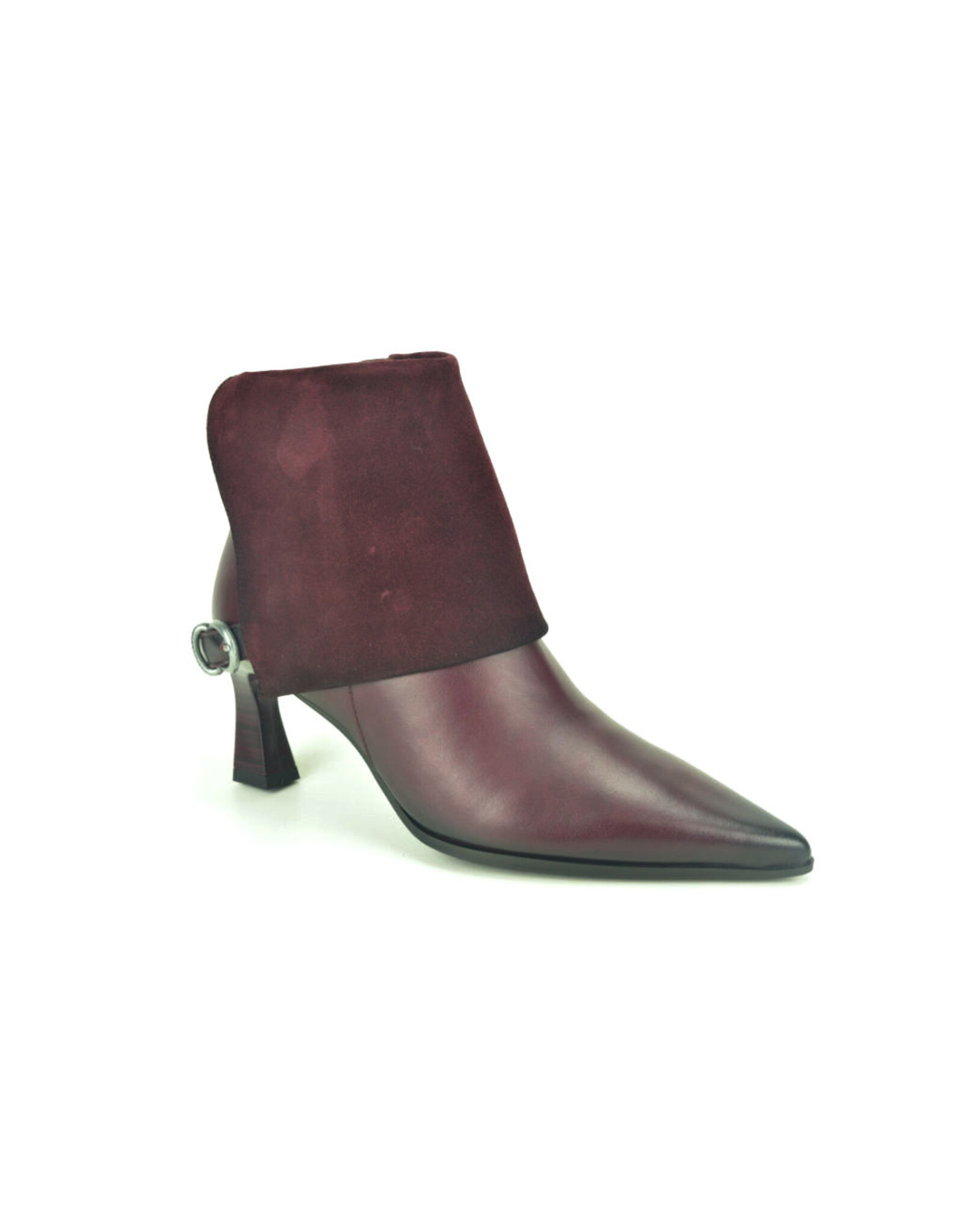 Hispanitas 16320 kleur