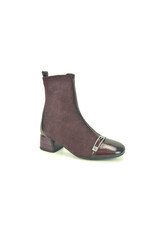Hispanitas 16323 kleur