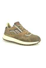 Floris van Bommel 16341 taupe