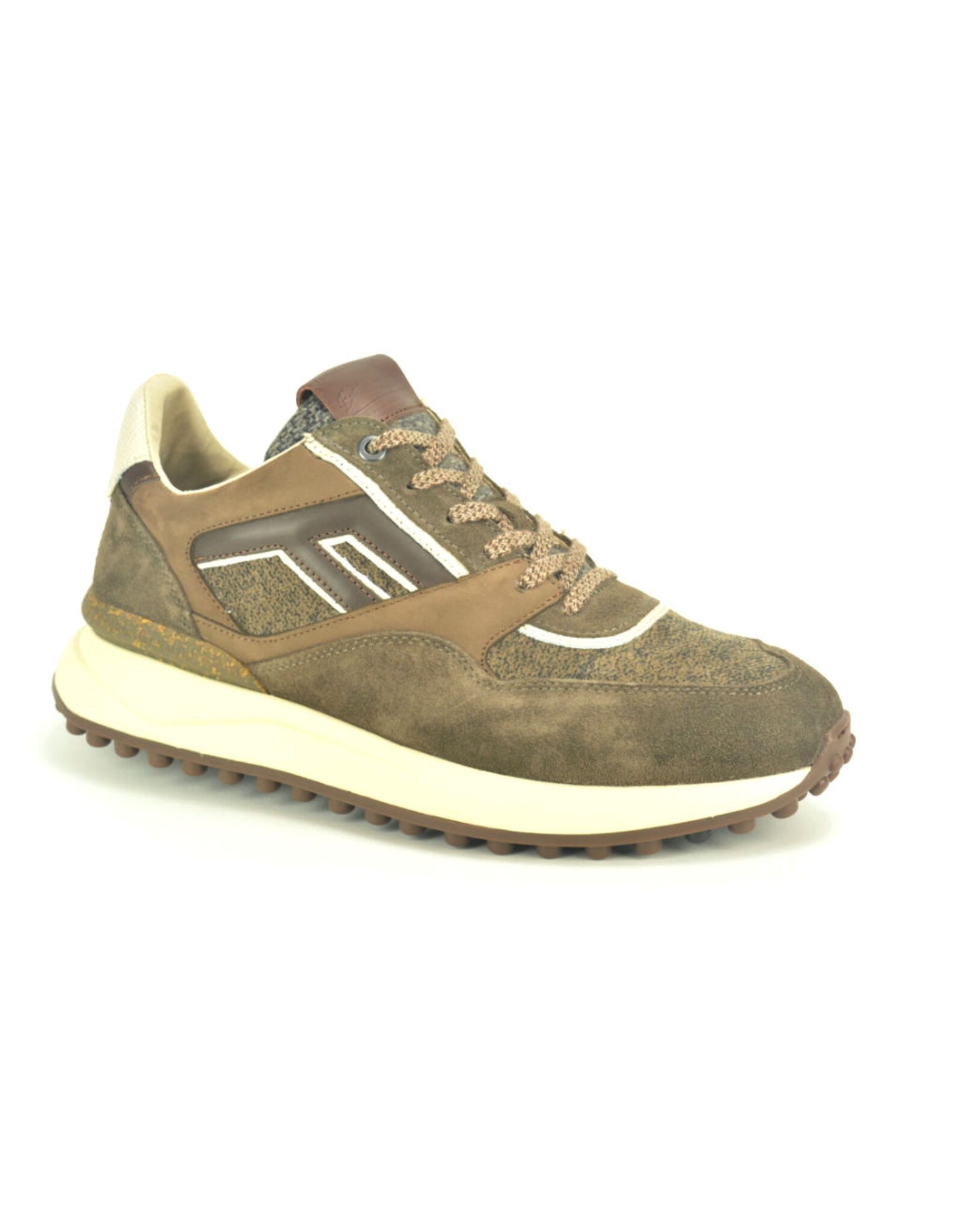 Floris van Bommel 16341 taupe