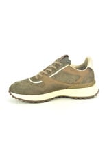 Floris van Bommel 16341 taupe