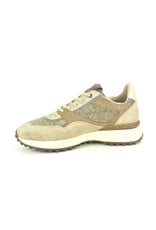 Floris van Bommel 16342 taupe