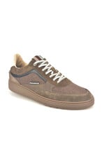 Floris van Bommel 16346 taupe
