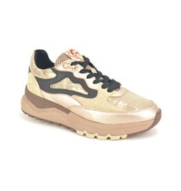 Floris van Bommel Sneaker Floris van Bommel
