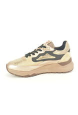 Floris van Bommel 16360 beige