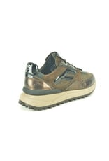 Floris van Bommel 16361 bruin