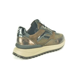Floris van Bommel Sneaker Floris van Bommel