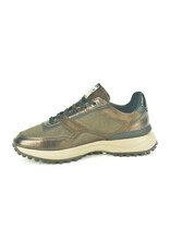 Floris van Bommel 16361 bruin