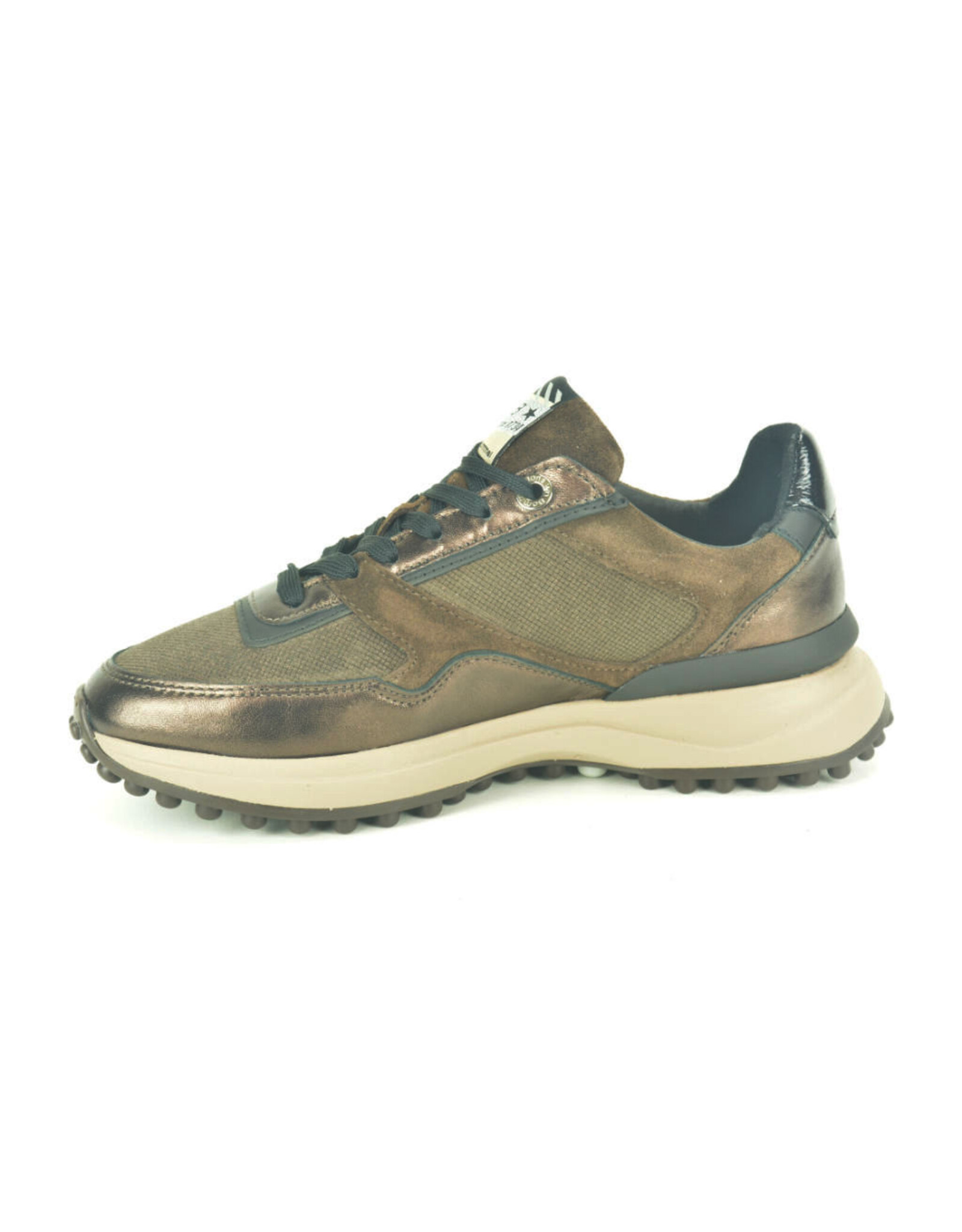 Floris van Bommel 16361 bruin