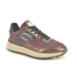 Floris van Bommel Sneaker Floris van Bommel