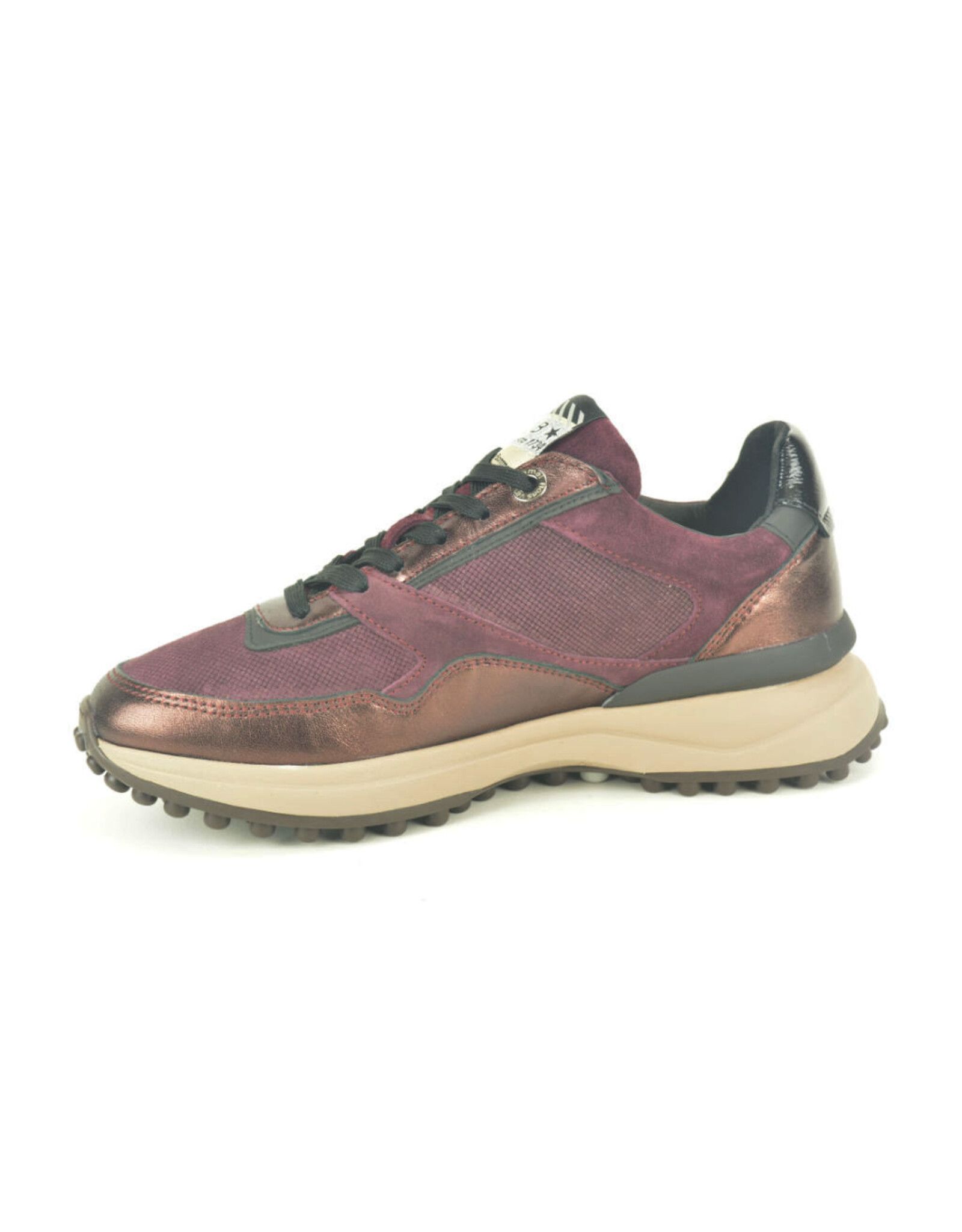 Floris van Bommel 16362 kleur