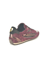 Floris van Bommel 16363 kleur