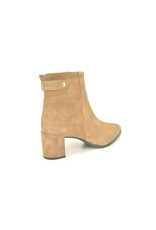 Altramarea 16375 taupe