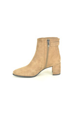 Altramarea 16375 taupe