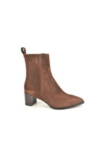 Altramarea 16379 bruin