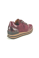 Gabor 16576 kleur