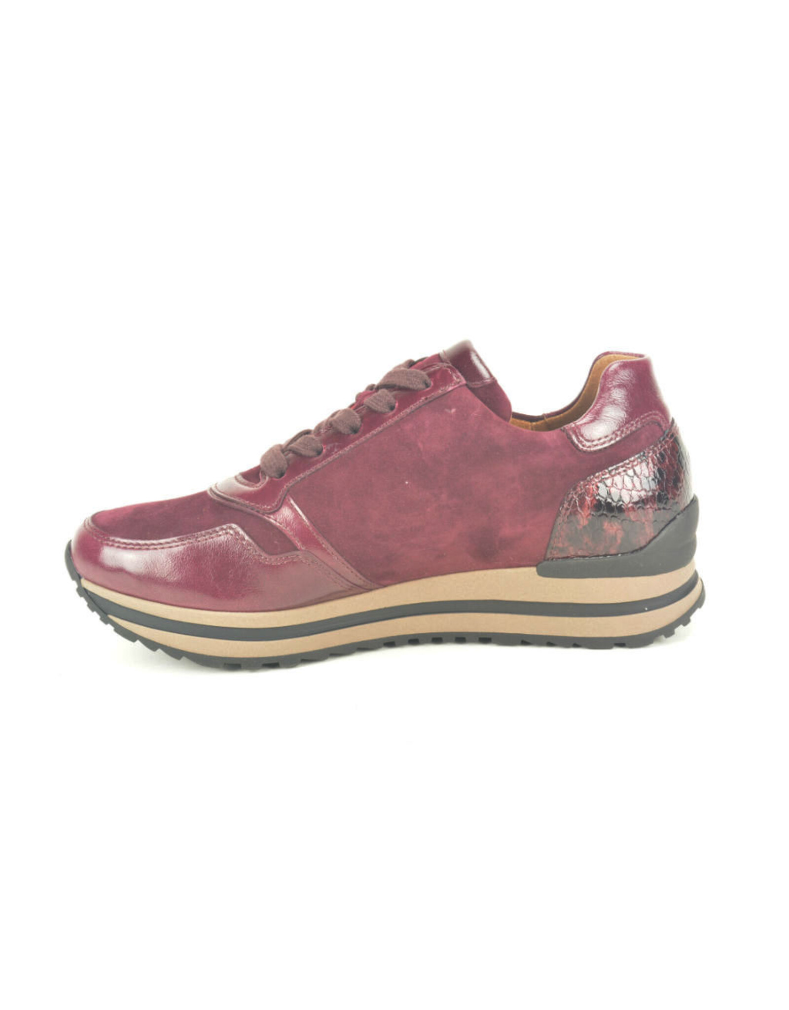 Gabor 16576 kleur