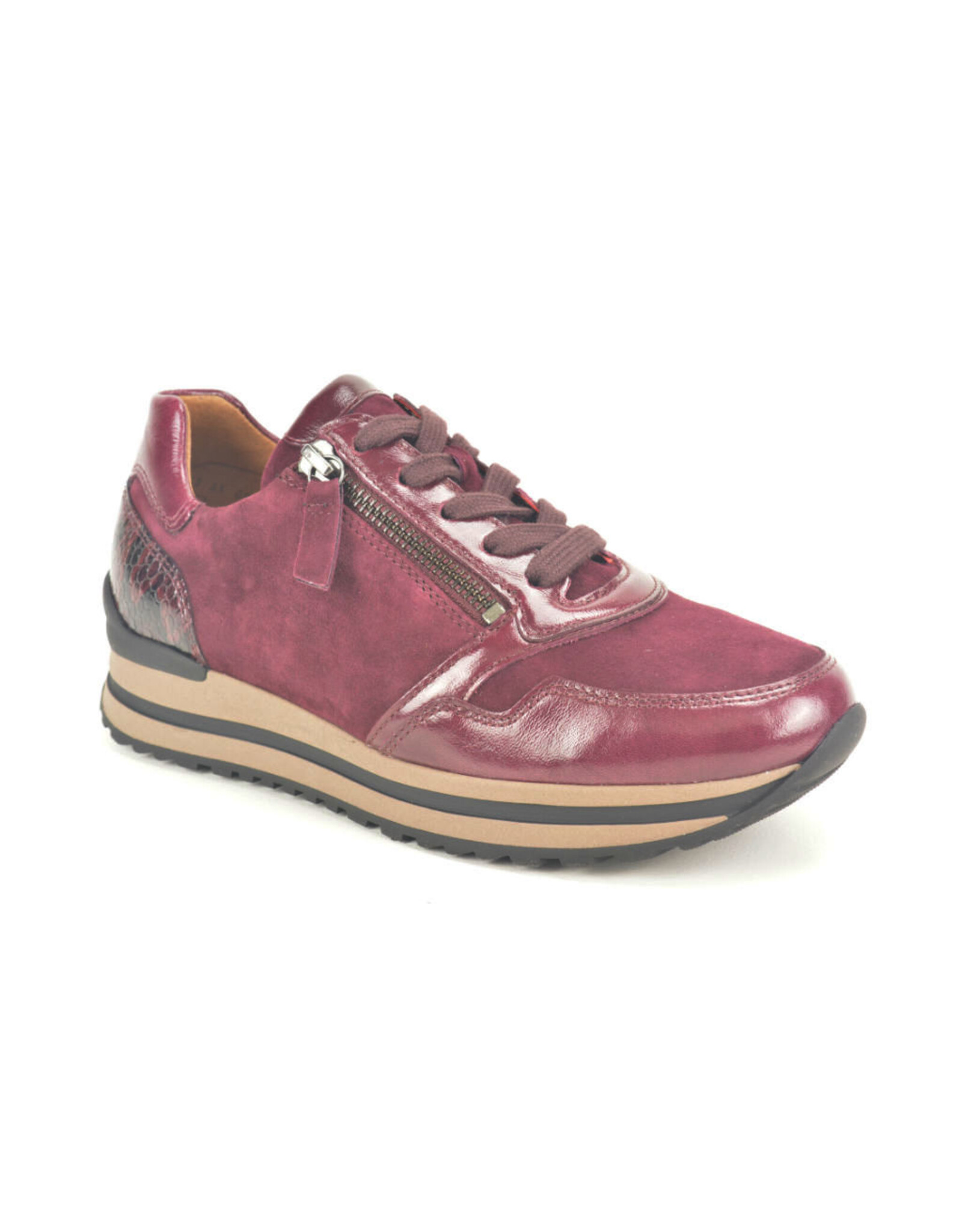 Gabor 16576 kleur