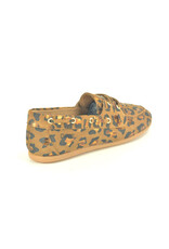 DWARS 16676 bruin