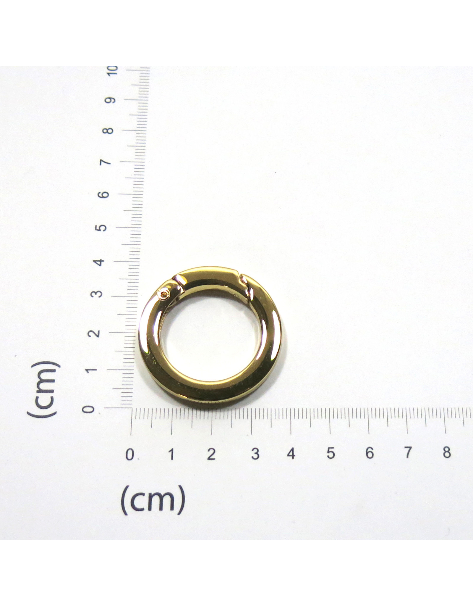 O-ring (opengaand)