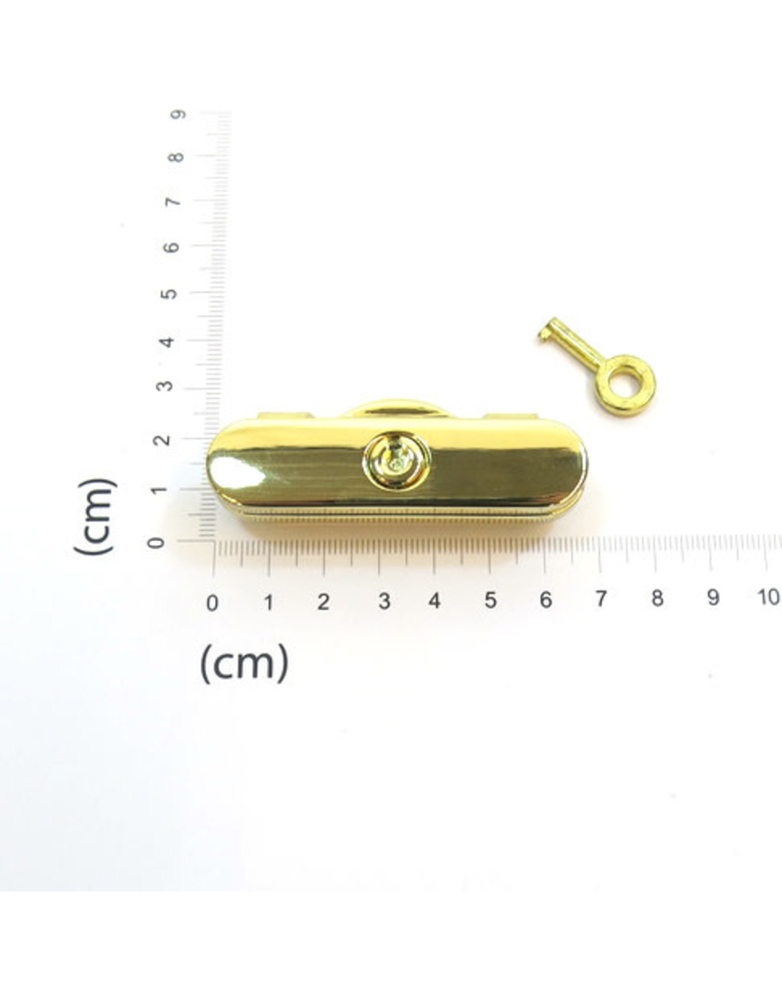 Purse/bag lock (with key lock)