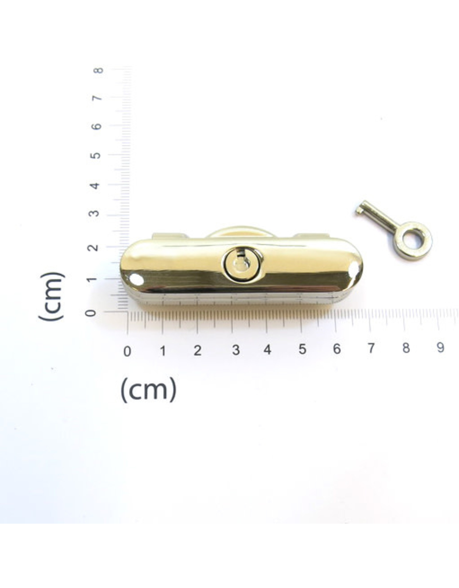 Purse/bag lock (with key lock)