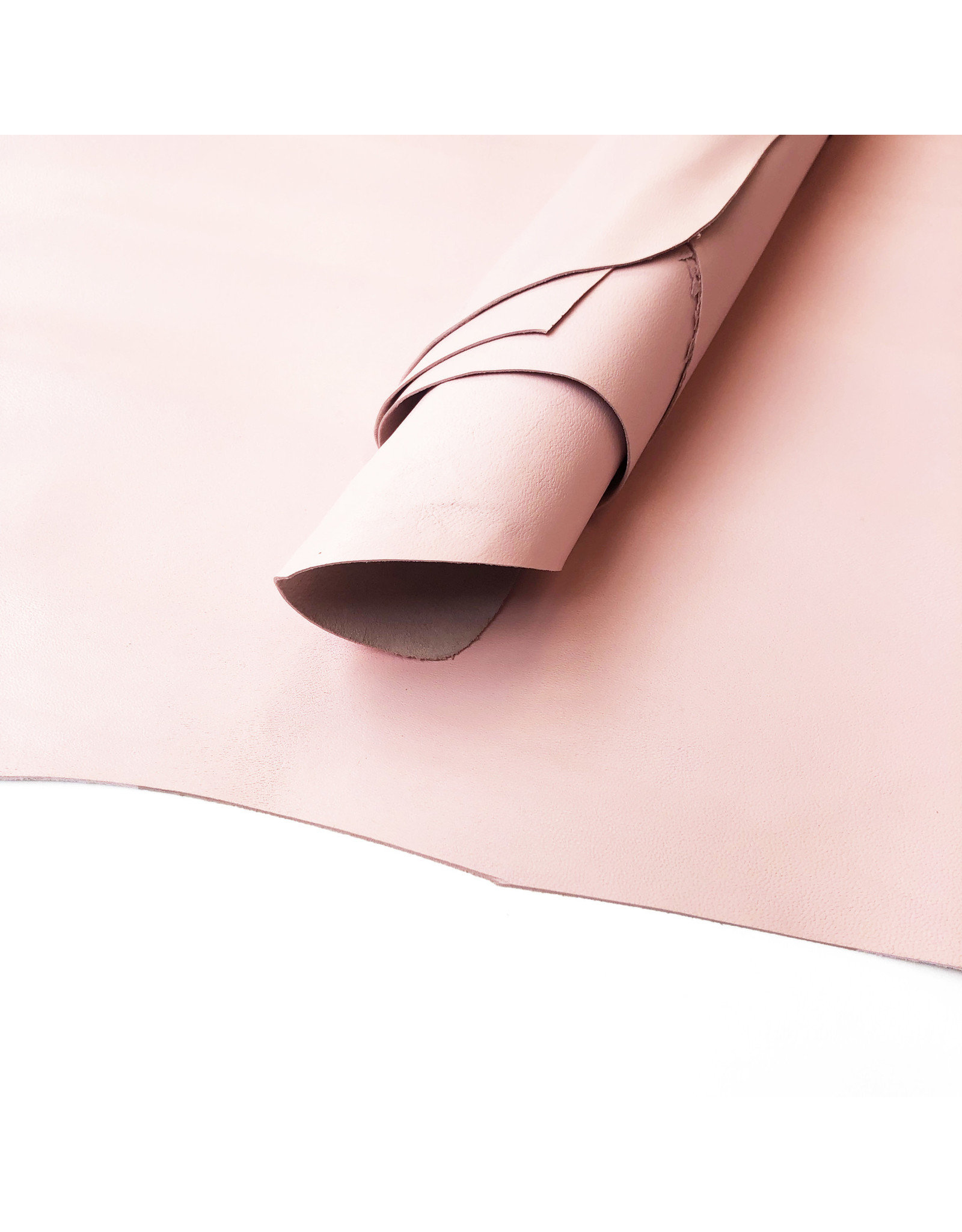 Light pink lining goat