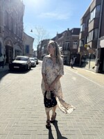 Cia Dress - Brown/off white