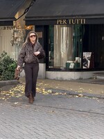 Celina pants - Brown