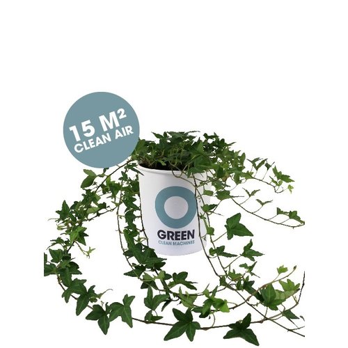 Ogreen Ogreen Goddess clean machine 15 m2 clean air* Ogreen Ogreen Goddess clean machine 15 m2 clean air*
