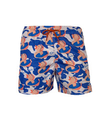 Surfer Duck Swim Shorts