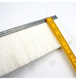 SIT Strip Brush L = 1000 mm x 8 mm, H80mm (Nylon/Steel 0,30mm)