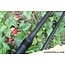 Ashima Ashima FFX-D 12 ft 3.00 # 50 mm 3 = 2