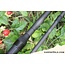 Ashima Ashima FFX-P 10 ft 3.00 lb 40mm