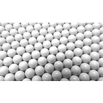 BB AMMUNITION