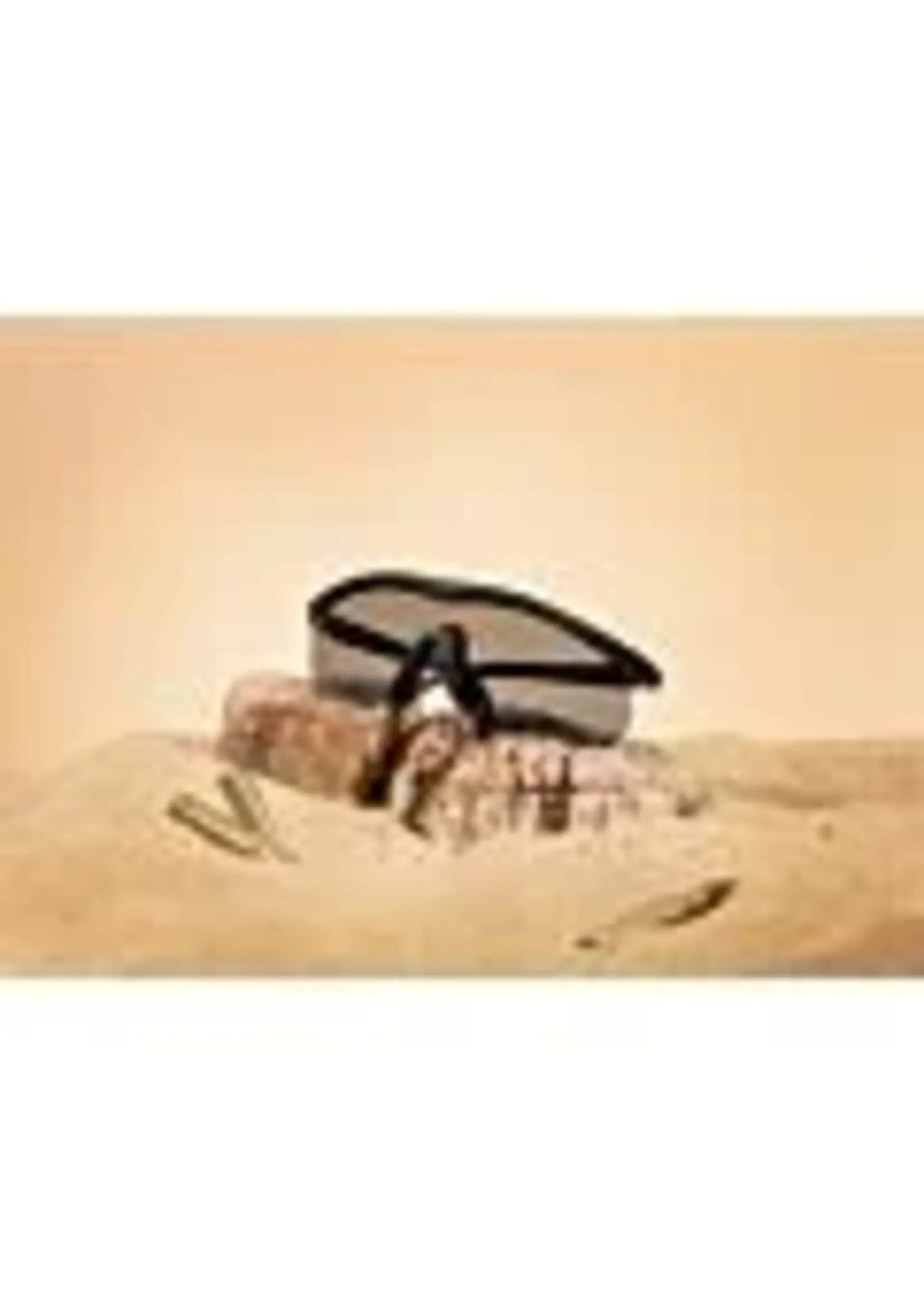 earmor Earmor G-01 Shooting Glasses Combination Pack - 3 Lenses Included (inc. Case & Prescription Insert)