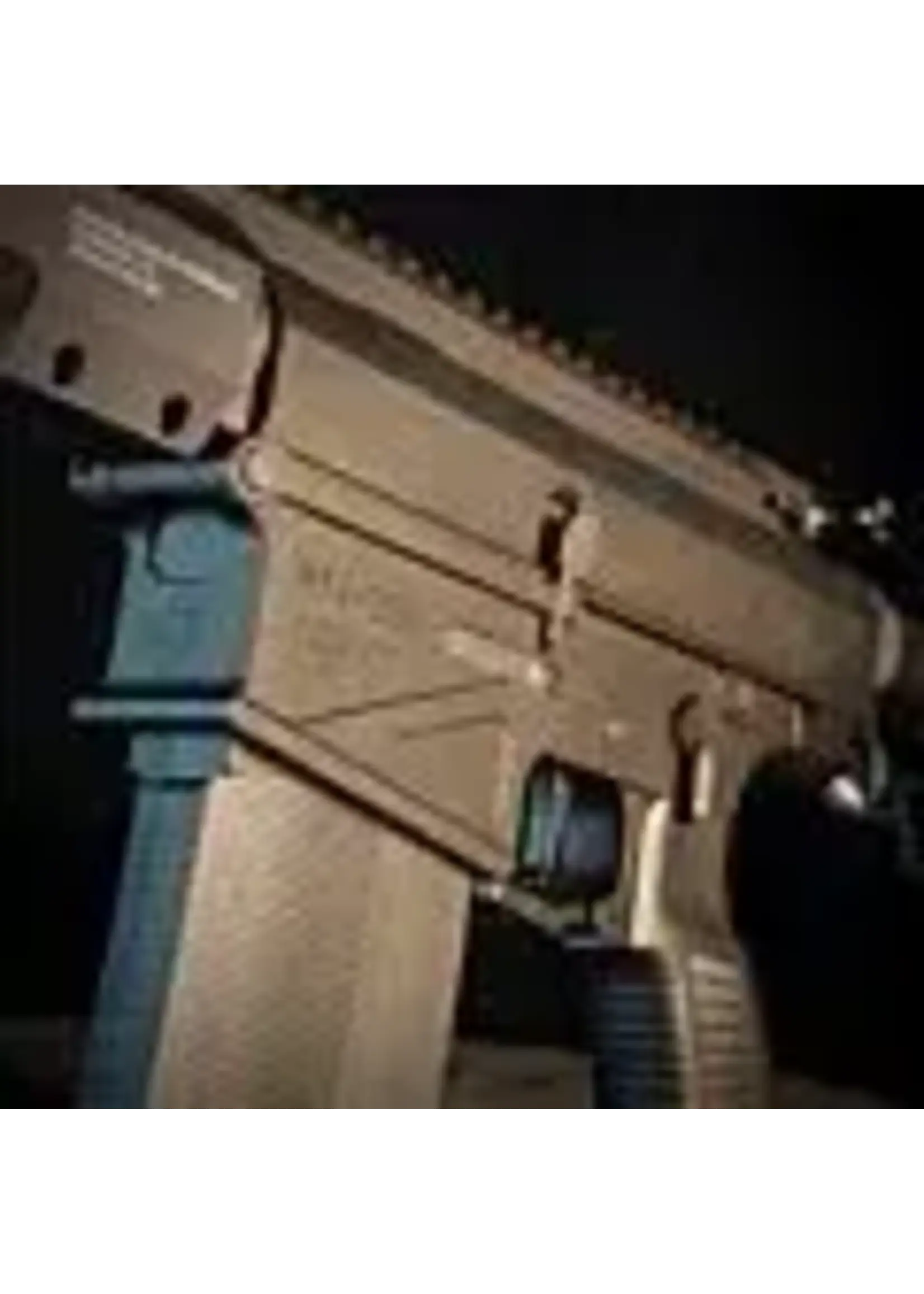 wolverine Wolverine MTW-308 - Tactical (DMR)