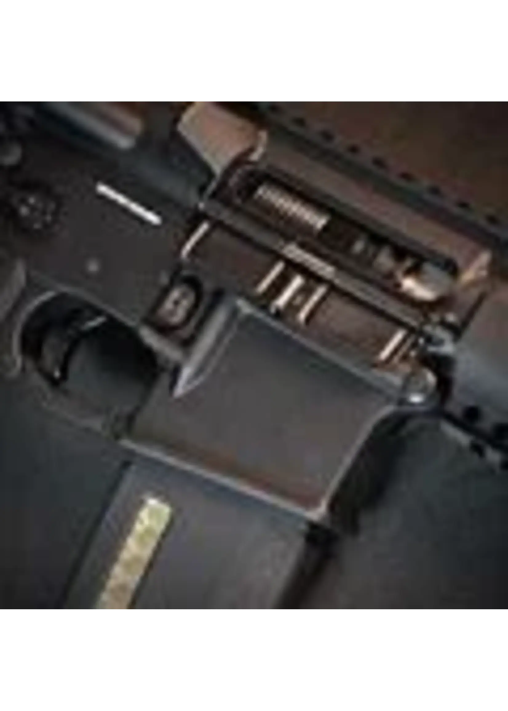 wolverine Wolverine MTW Forged Series - Tactical 10" SBR